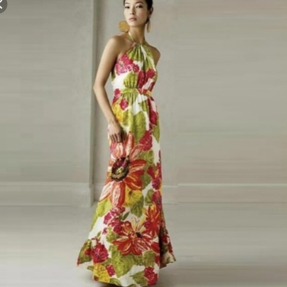 Anthropologie Lil floral Maxi Dress - size 2